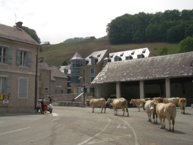 mariëtte nico piratenfrass 295.jpg